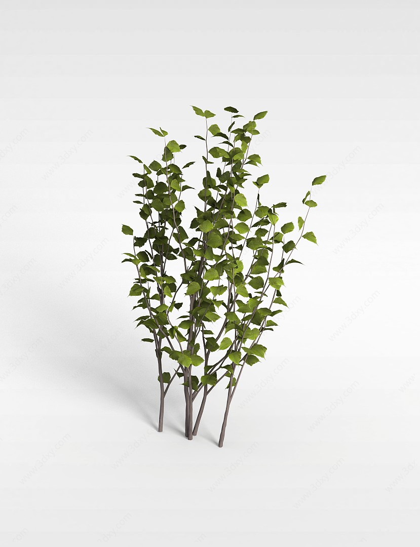 落叶植物3D模型