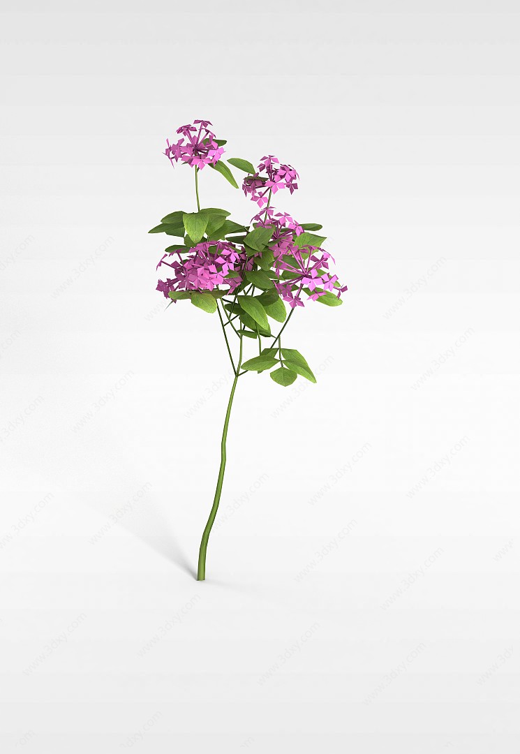 紫花植物3D模型