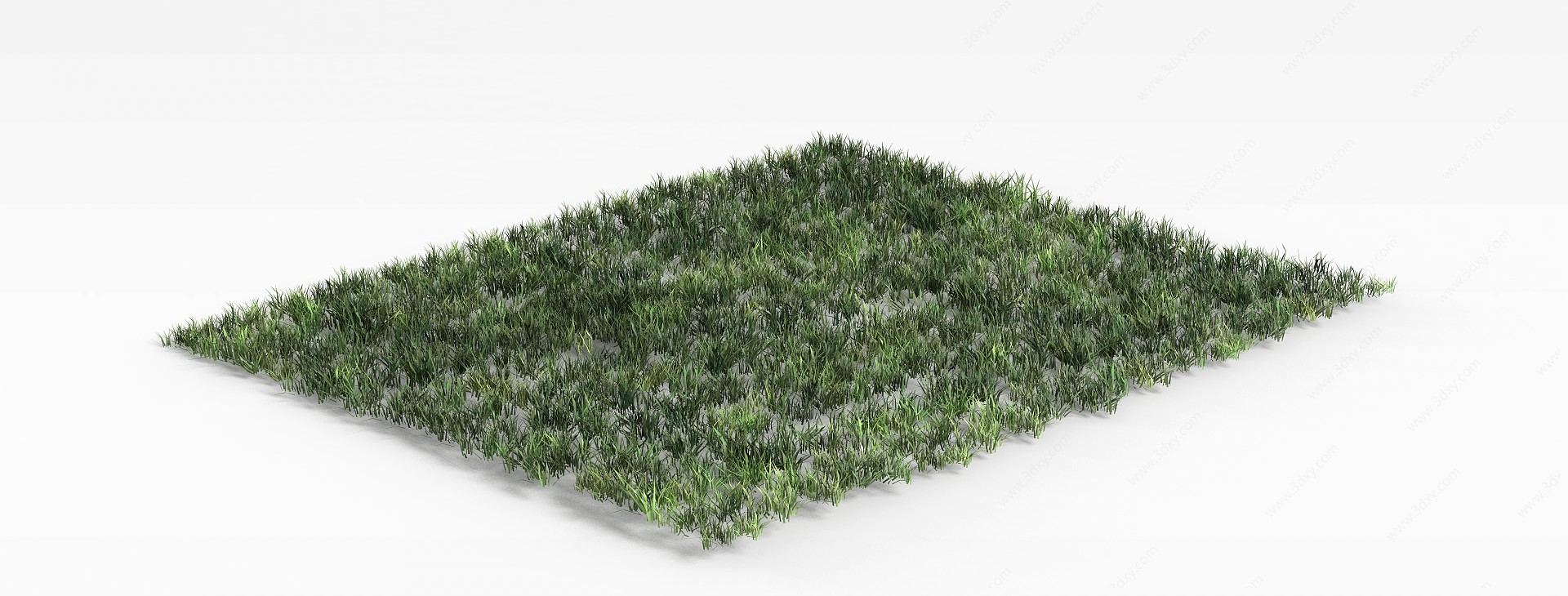 绿色草坪3D模型