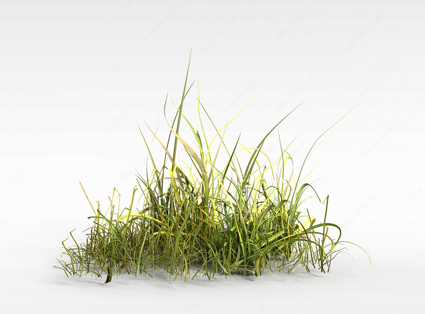 水生草类3D模型