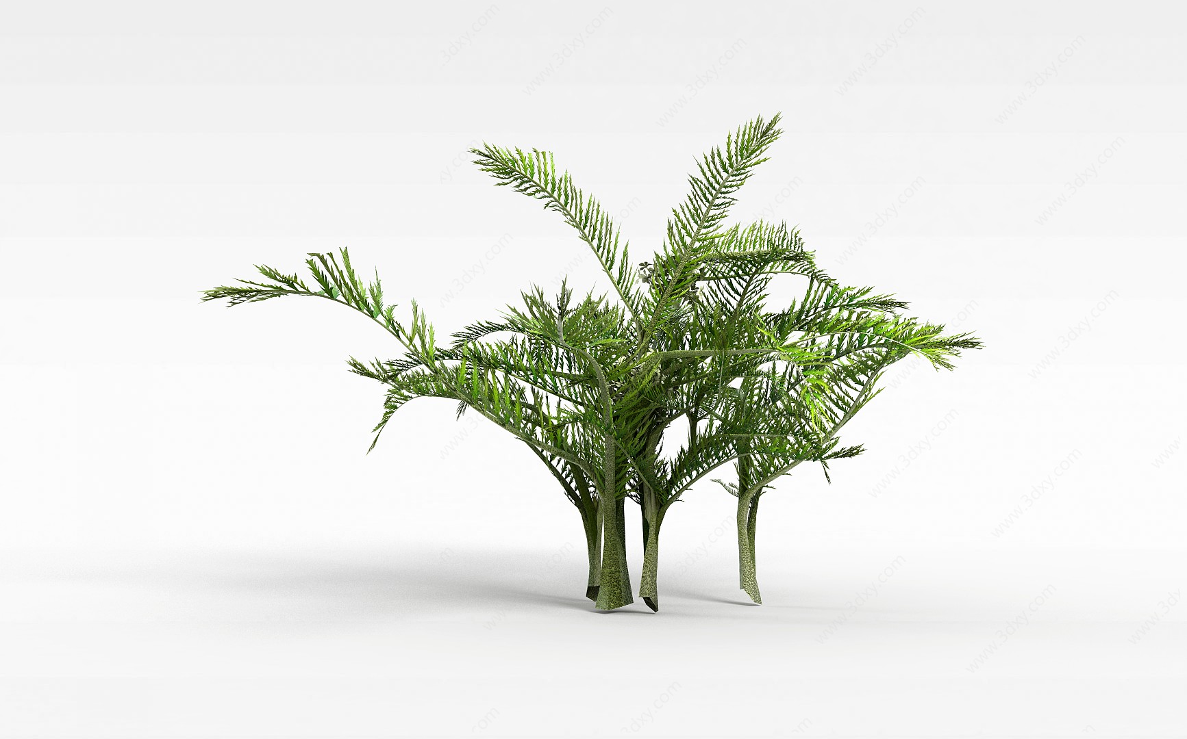 园林绿化植被3D模型