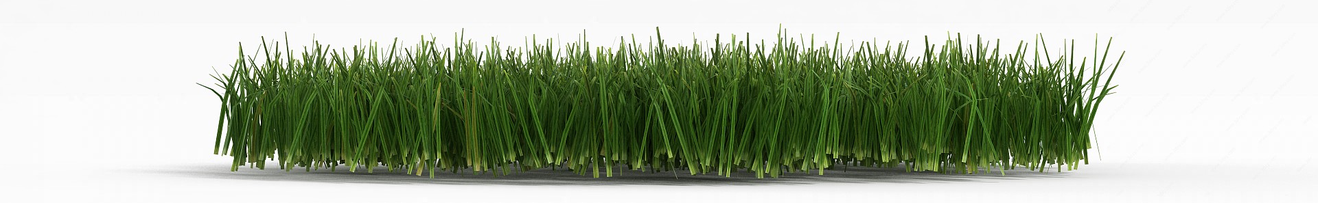 花园绿色草丛3D模型