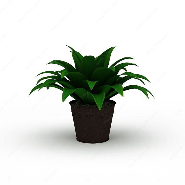 绿色盆景植物3D模型