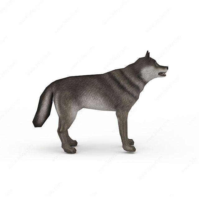 灰狼3D模型