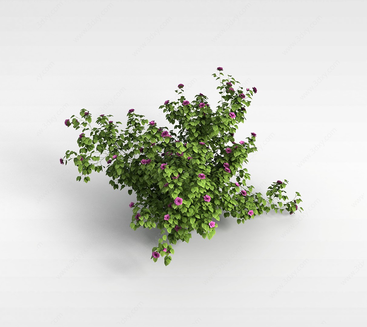 绿色小植物3D模型