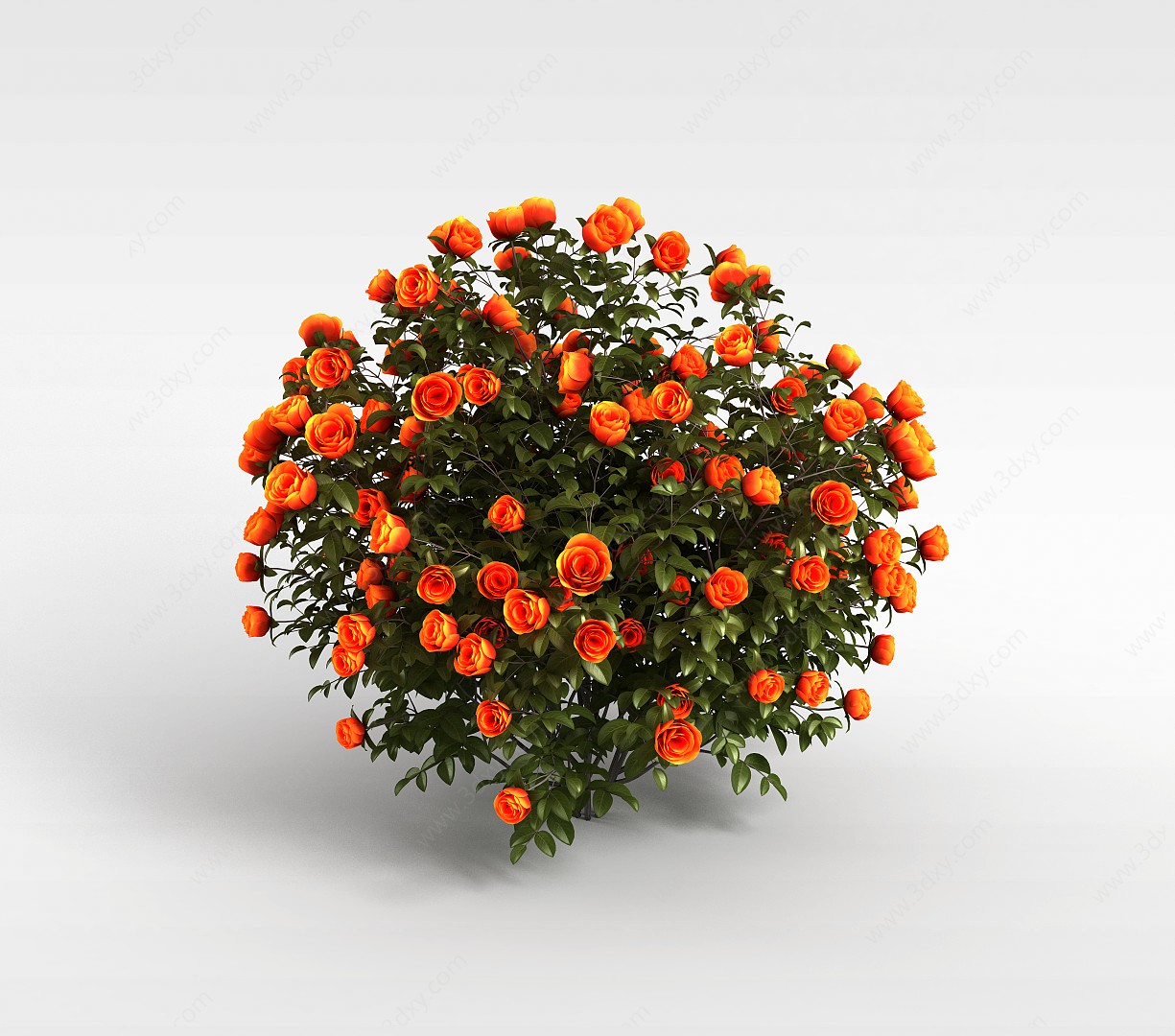 橙色花株3D模型
