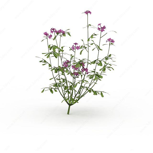 紫色花株3D模型