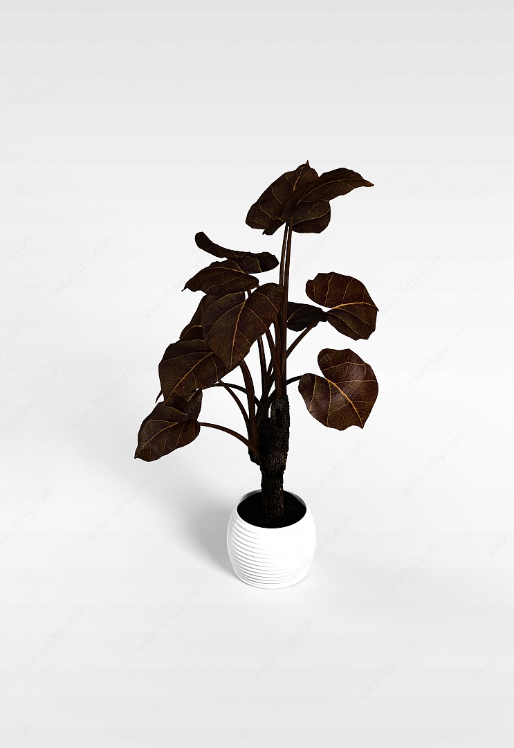 大型盆栽植物3D模型