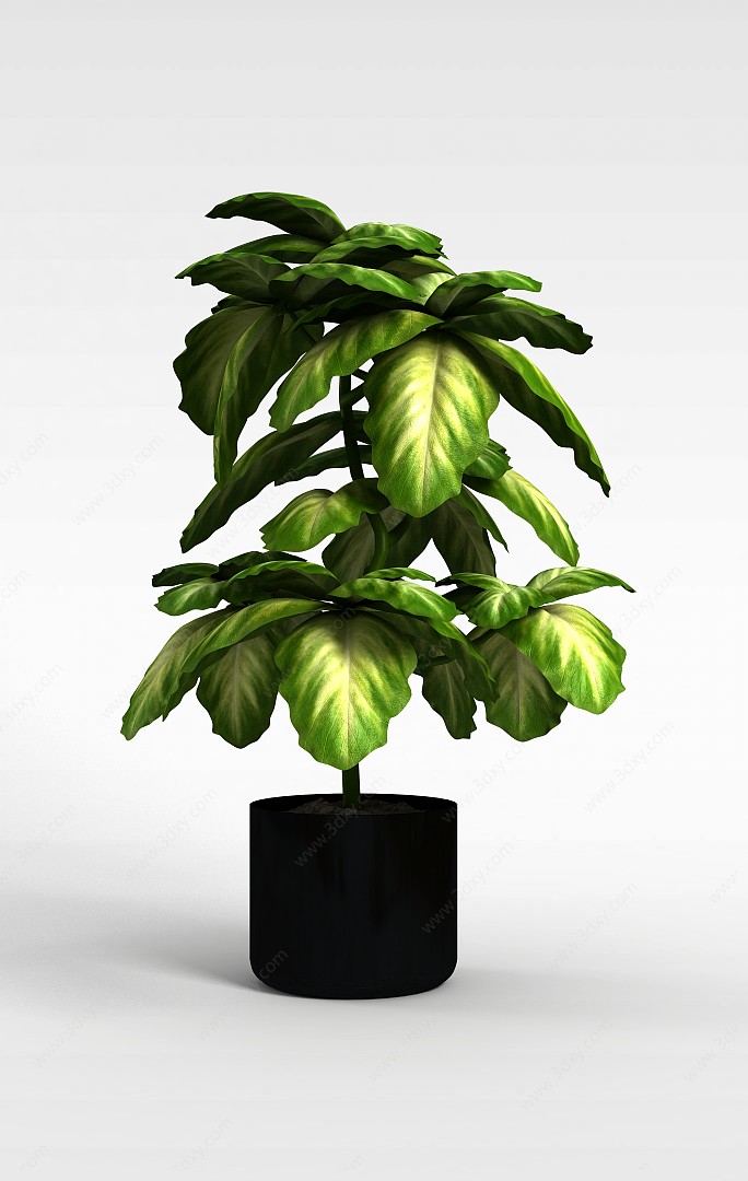 办公室盆栽植物3D模型