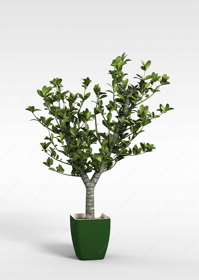 树木盆栽3D模型