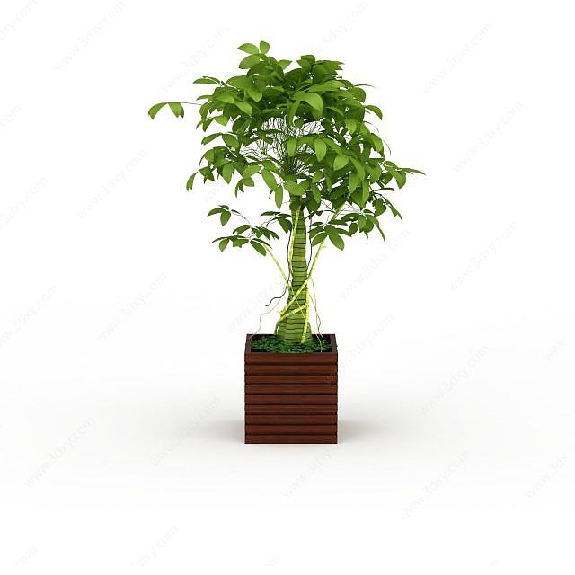 室内绿化植物3D模型