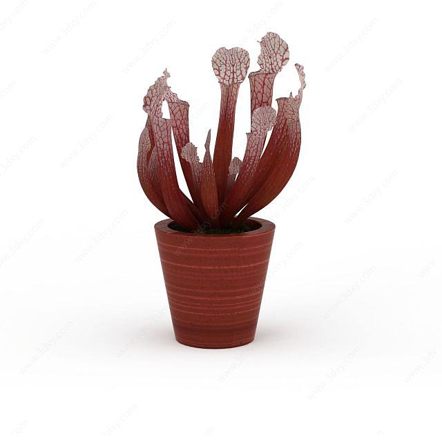花草植物盆栽3D模型