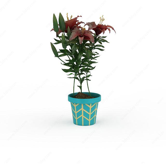 红色百合花盆栽3D模型