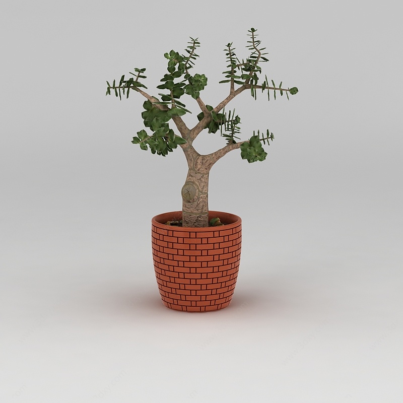 室外树苗盆栽3D模型