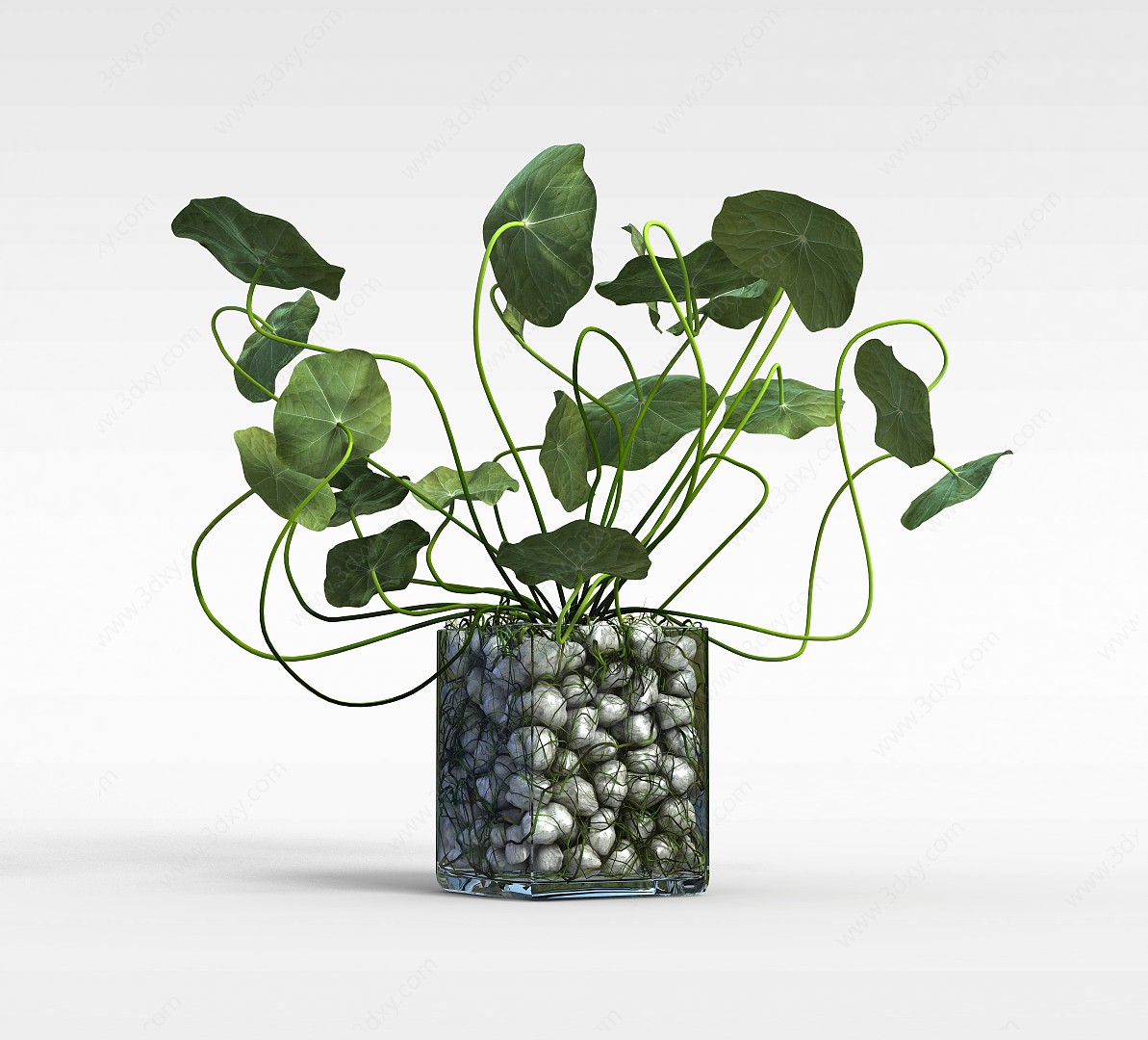 花草绿植盆栽3D模型