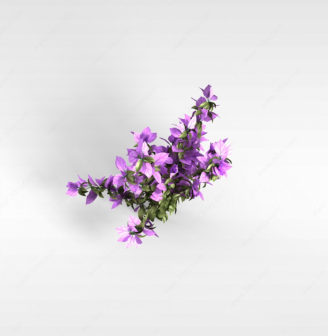 植物紫色花株3D模型