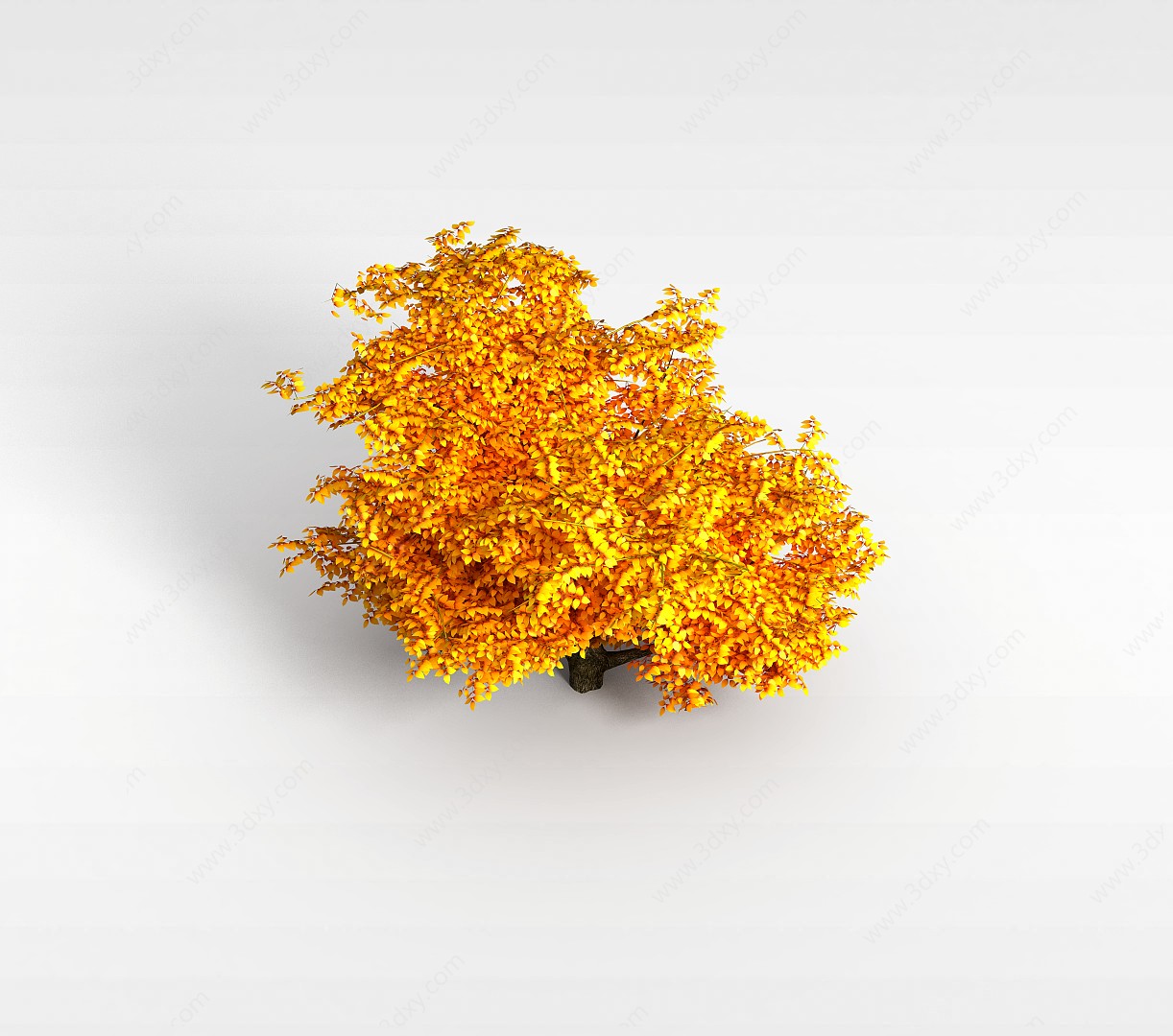 植物松树3D模型