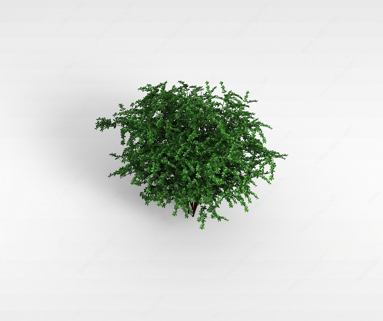 植物树木3D模型