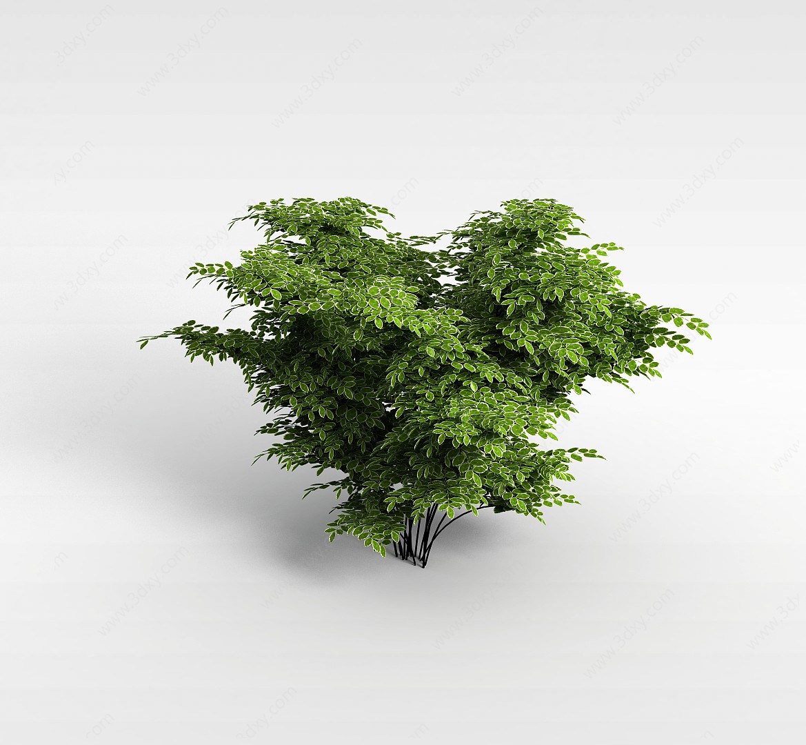 植物大树3D模型