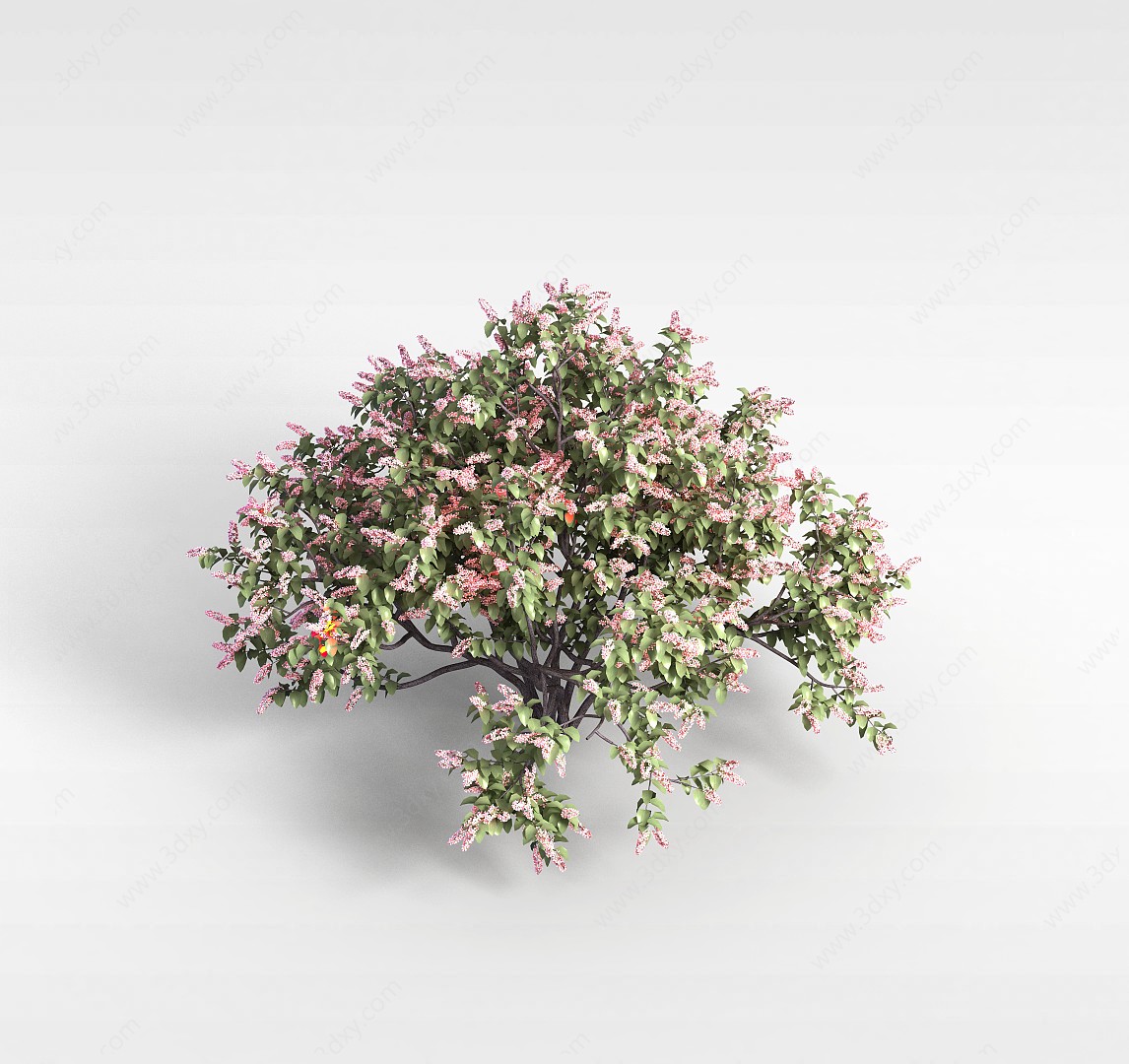 植物花树3D模型