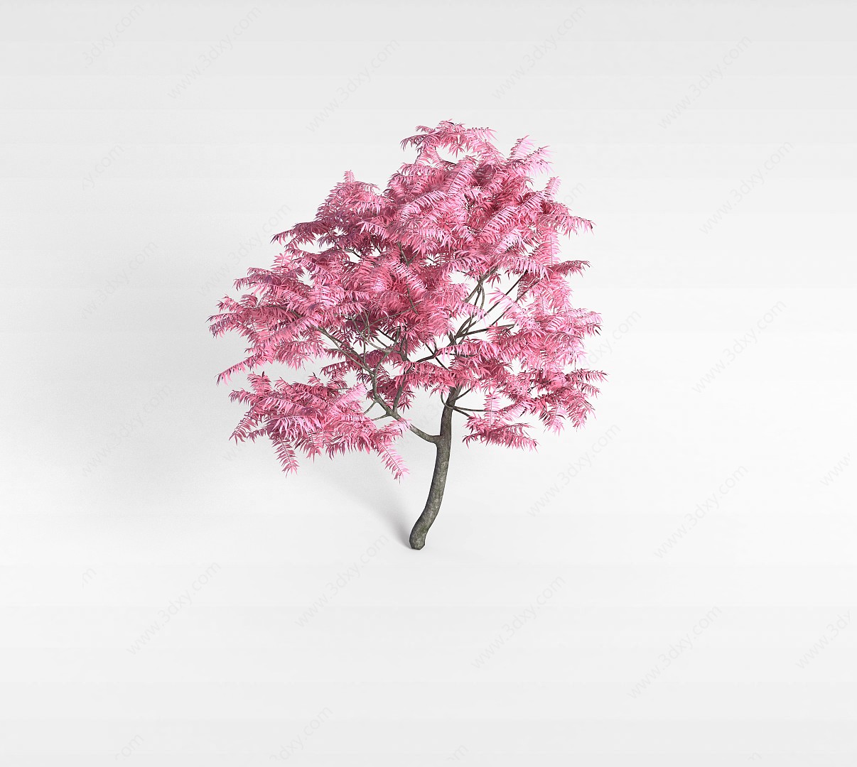植物花树3D模型