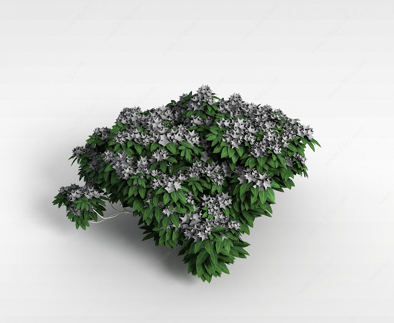 植物绿植3D模型