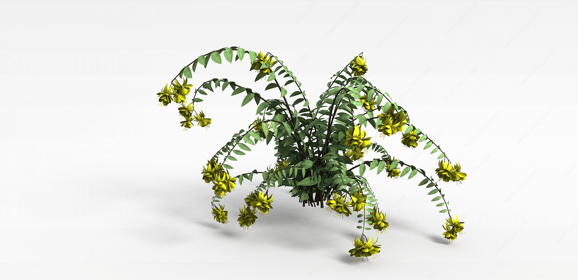 植物花草绿植3D模型