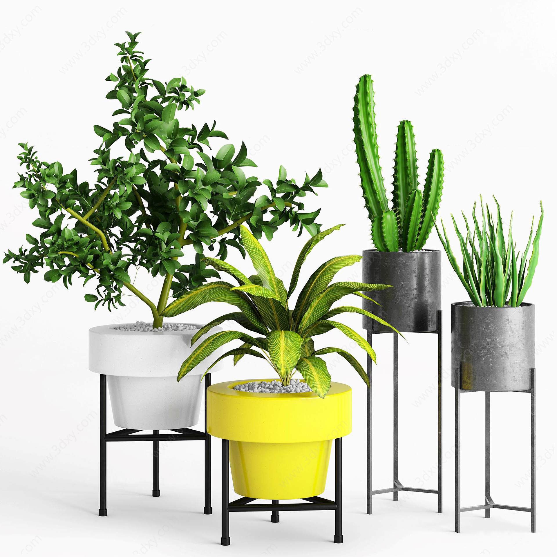 现代室内绿植盆栽3D模型