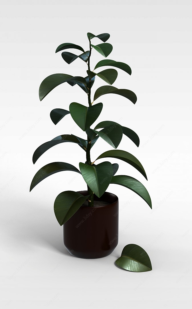 灌木绿植盆栽3D模型