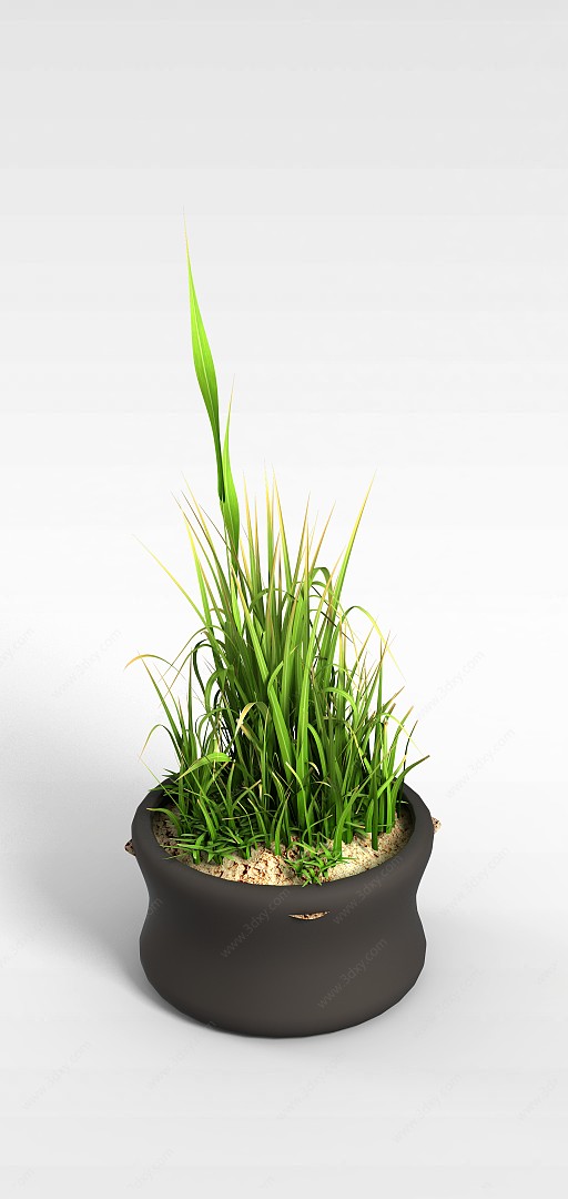 庭院花草盆栽3D模型