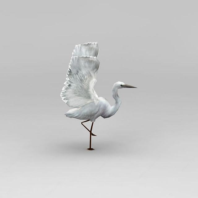 行走的白鹭3D模型