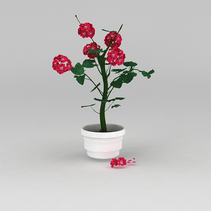 花盆盆栽3D模型