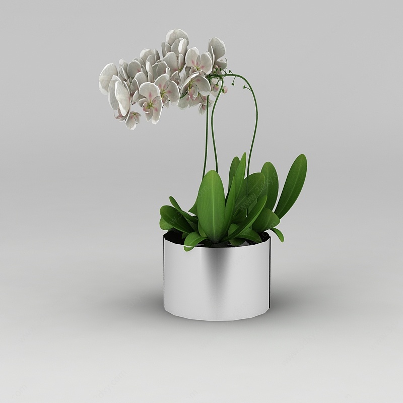 兰花花瓶摆件3D模型