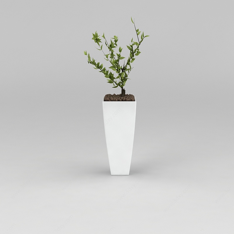 室内绿植盆栽3D模型