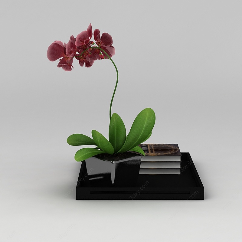 兰花和书3D模型