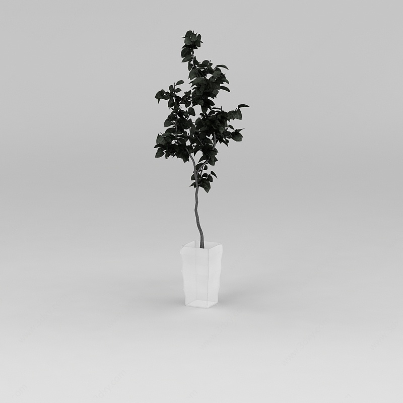 花盆树3D模型
