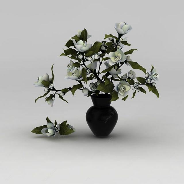 白玫瑰花卉3D模型