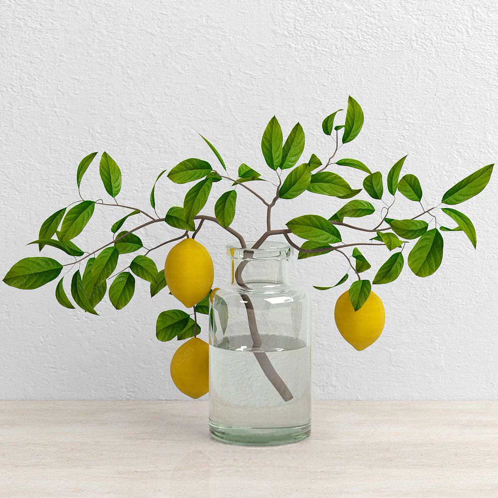 柠檬植物3D模型