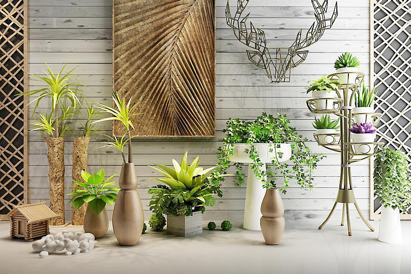 现代室内植物盆栽3D模型
