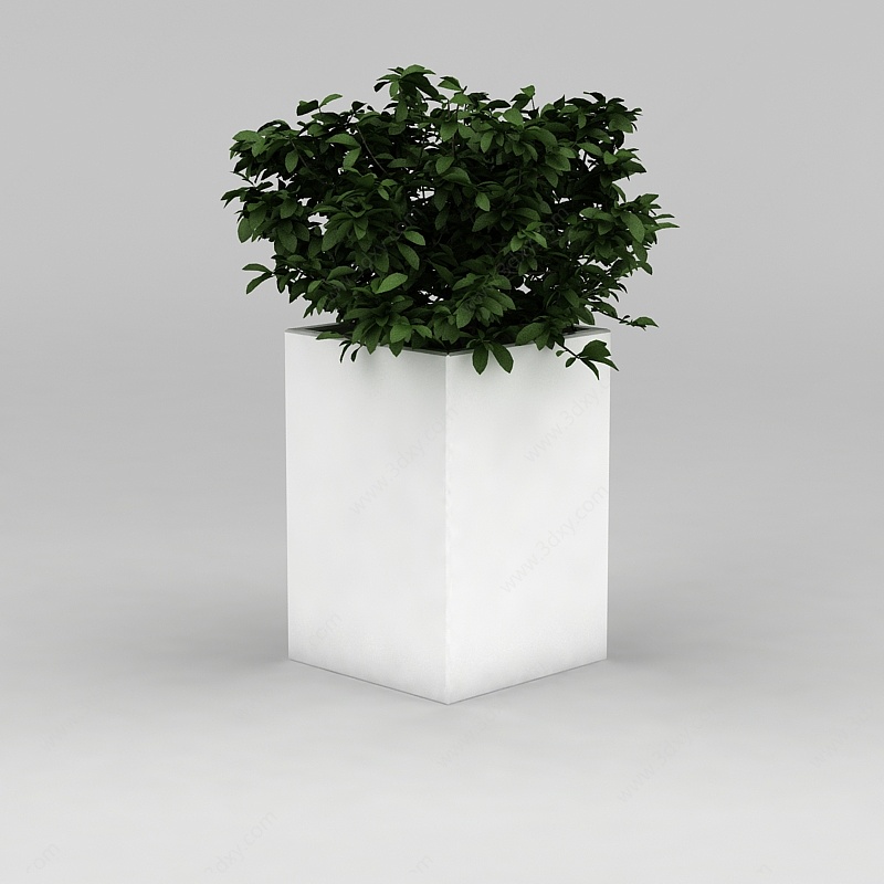 室内绿植盆景3D模型