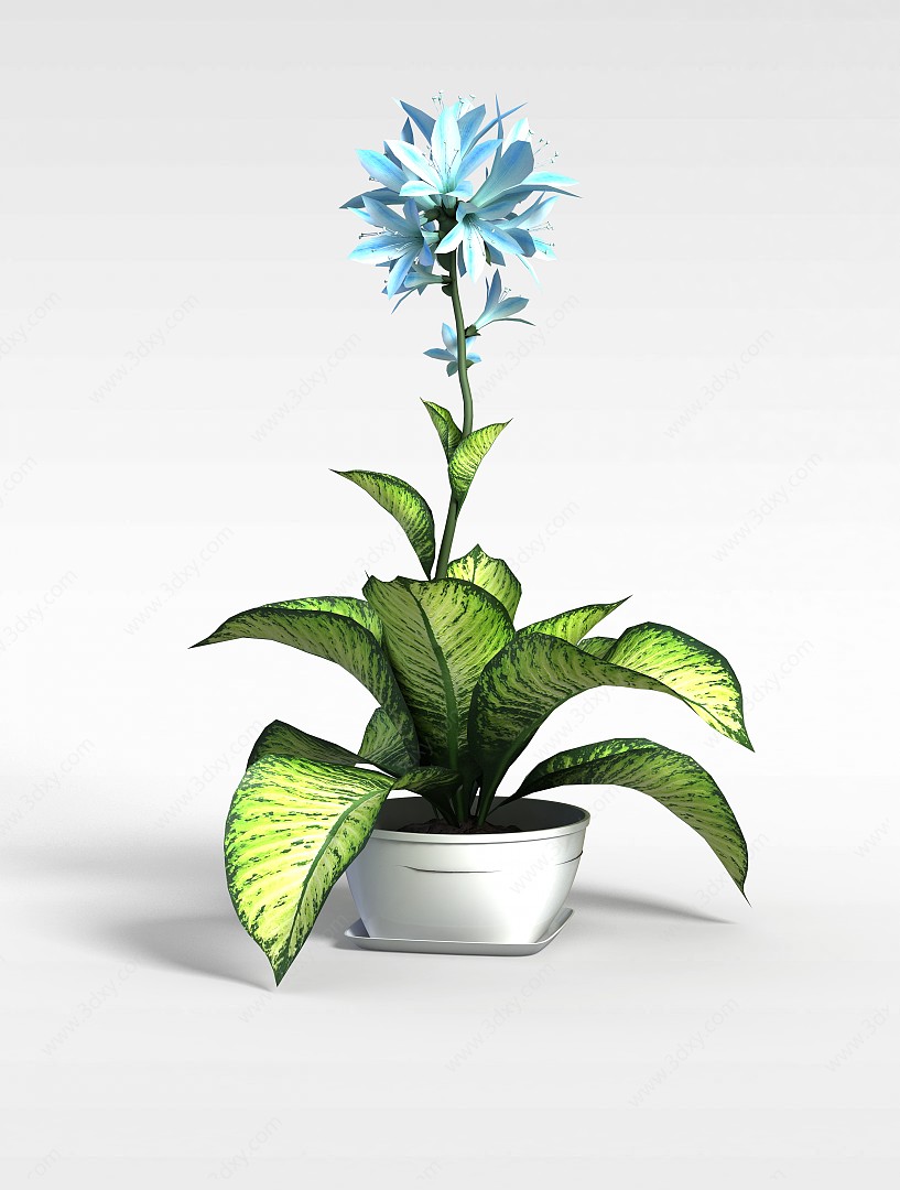 室内花卉盆栽3D模型