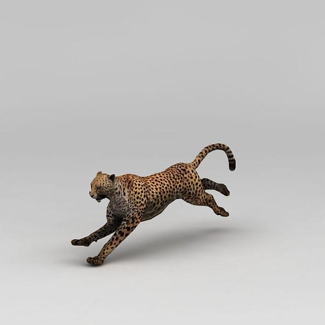 奔跑的豹子3D模型