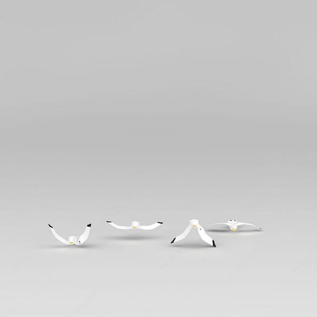 海鸥3D模型