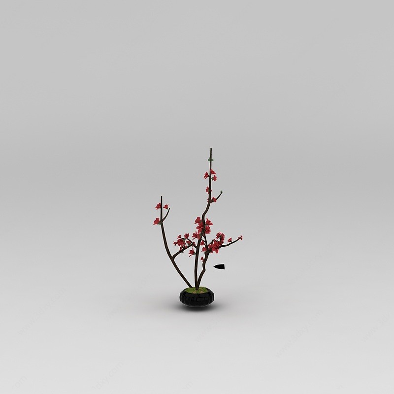 日式梅花盆栽3D模型