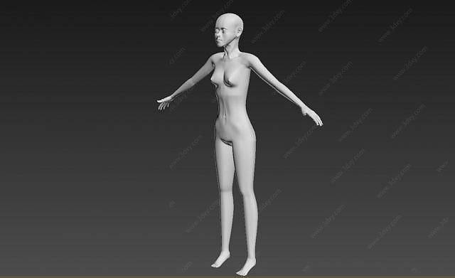 仿真女性人体3D模型