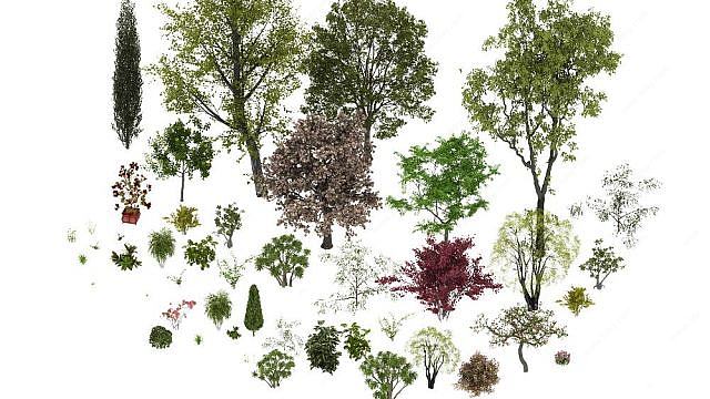 北方树种3D模型