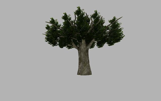 假树3D模型