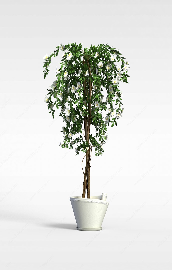 开花盆栽树3D模型