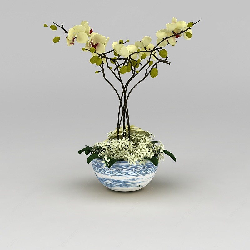 兰花花盆3D模型