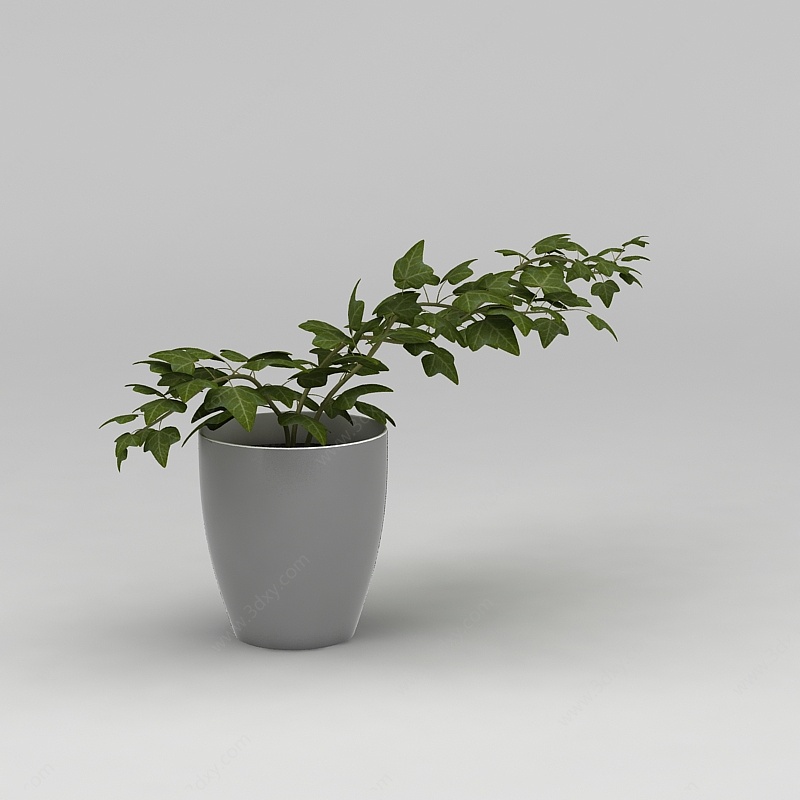 室内花盆绿植3D模型